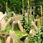 Velho Cemitério Judeu