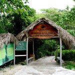 Reserva Ecológica de Punta Cana
